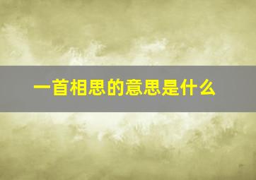 一首相思的意思是什么