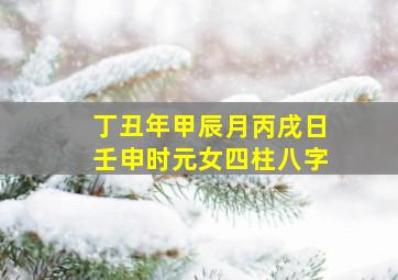 丁丑年甲辰月丙戌日壬申时元女四柱八字