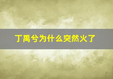 丁禹兮为什么突然火了