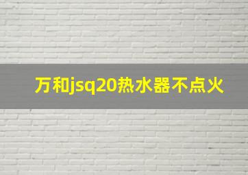 万和jsq20热水器不点火