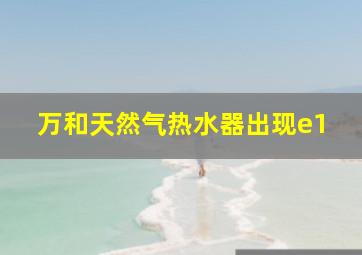 万和天然气热水器出现e1