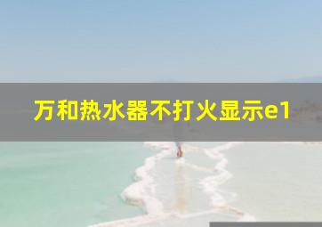 万和热水器不打火显示e1