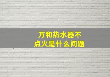 万和热水器不点火是什么问题