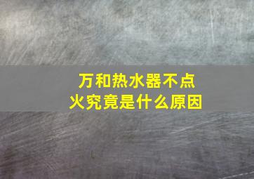 万和热水器不点火究竟是什么原因