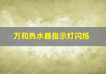 万和热水器指示灯闪烁