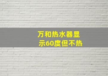 万和热水器显示60度但不热