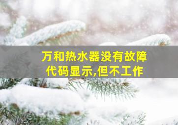 万和热水器没有故障代码显示,但不工作