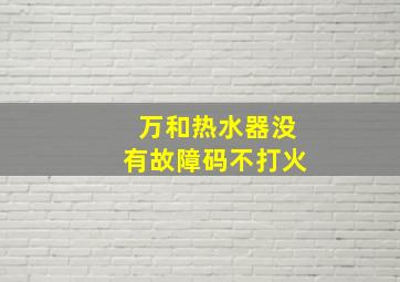 万和热水器没有故障码不打火