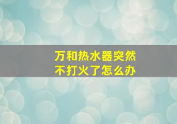 万和热水器突然不打火了怎么办