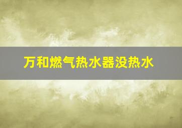 万和燃气热水器没热水