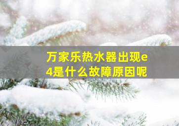 万家乐热水器出现e4是什么故障原因呢