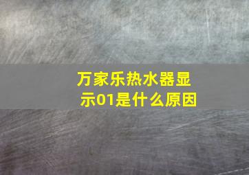 万家乐热水器显示01是什么原因