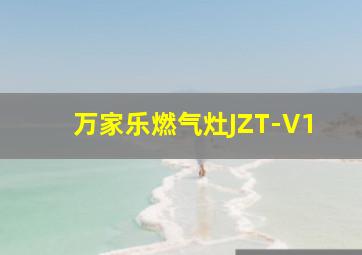 万家乐燃气灶JZT-V1