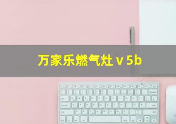 万家乐燃气灶ⅴ5b