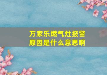 万家乐燃气灶报警原因是什么意思啊