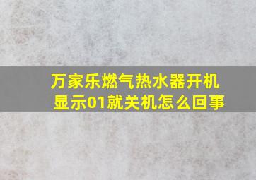 万家乐燃气热水器开机显示01就关机怎么回事