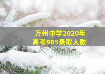 万州中学2020年高考985录取人数