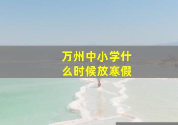 万州中小学什么时候放寒假