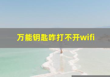 万能钥匙咋打不开wifi