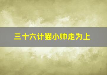 三十六计猫小帅走为上