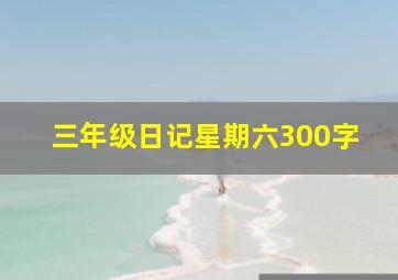 三年级日记星期六300字