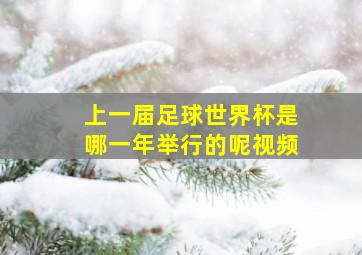 上一届足球世界杯是哪一年举行的呢视频