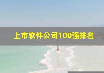 上市软件公司100强排名