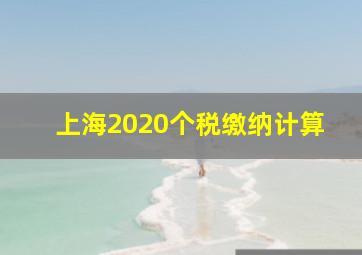 上海2020个税缴纳计算