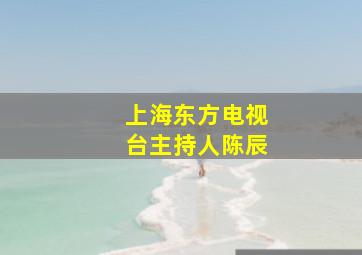 上海东方电视台主持人陈辰