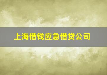 上海借钱应急借贷公司