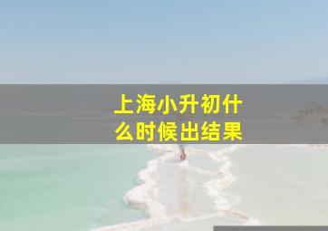 上海小升初什么时候出结果