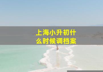 上海小升初什么时候调档案