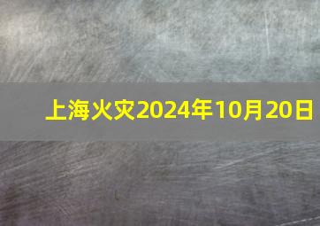 上海火灾2024年10月20日