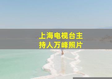 上海电视台主持人万峰照片