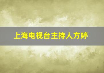 上海电视台主持人方婷