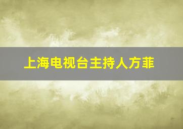 上海电视台主持人方菲