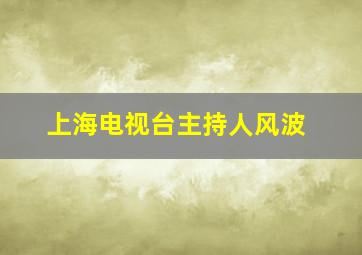 上海电视台主持人风波