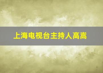 上海电视台主持人高嵩