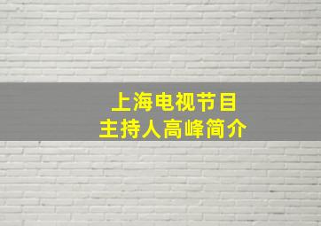 上海电视节目主持人高峰简介