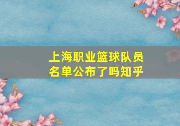 上海职业篮球队员名单公布了吗知乎