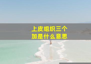 上皮组织三个加是什么意思