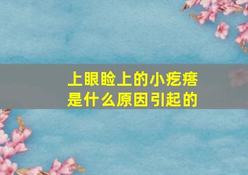 上眼睑上的小疙瘩是什么原因引起的