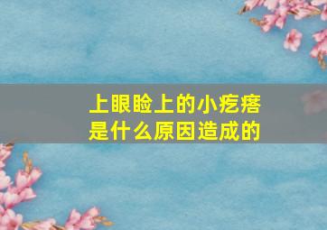 上眼睑上的小疙瘩是什么原因造成的