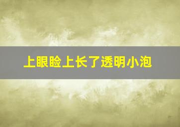 上眼睑上长了透明小泡