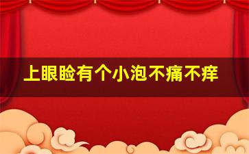 上眼睑有个小泡不痛不痒