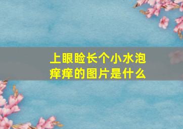 上眼睑长个小水泡痒痒的图片是什么