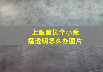 上眼睑长个小疙瘩透明怎么办图片