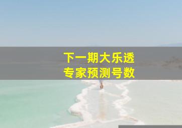 下一期大乐透专家预测号数