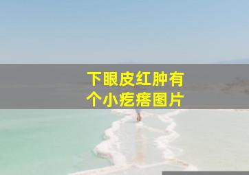 下眼皮红肿有个小疙瘩图片