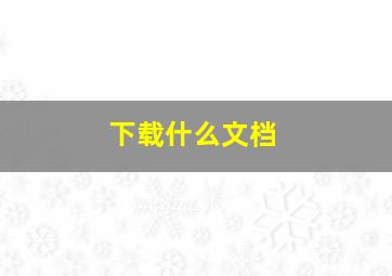 下载什么文档